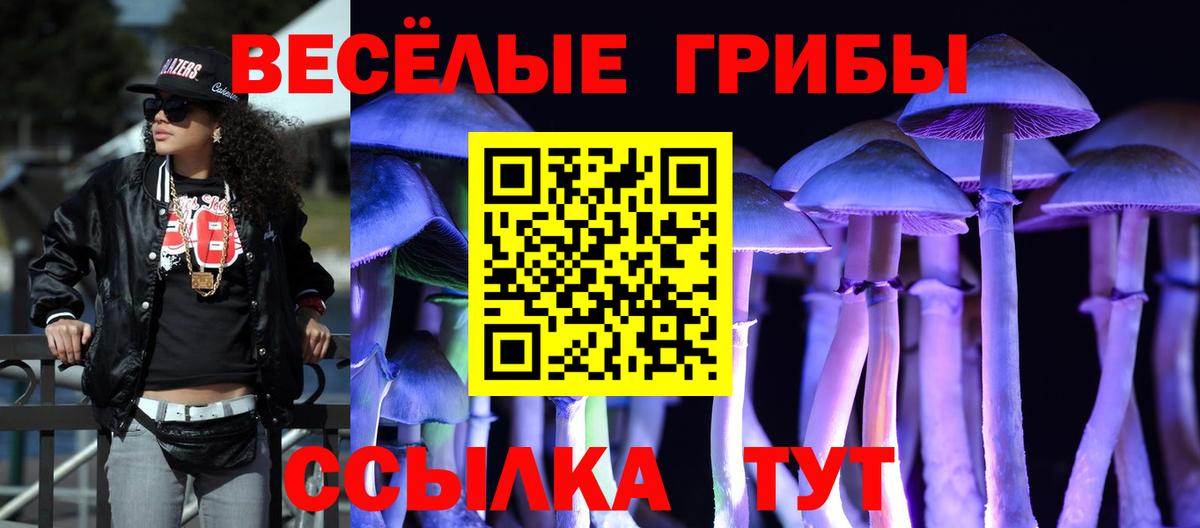 Галлюциногенные грибы Psilocybine cubensis Вязьма